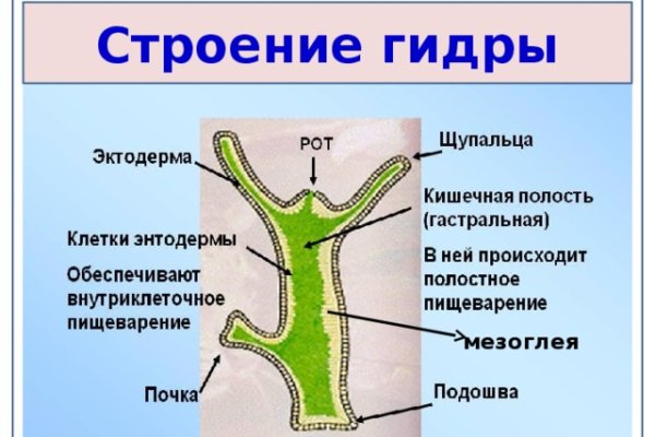 Кракен маркет даркнет скачать