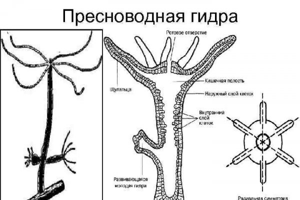 Кракен kr2web in